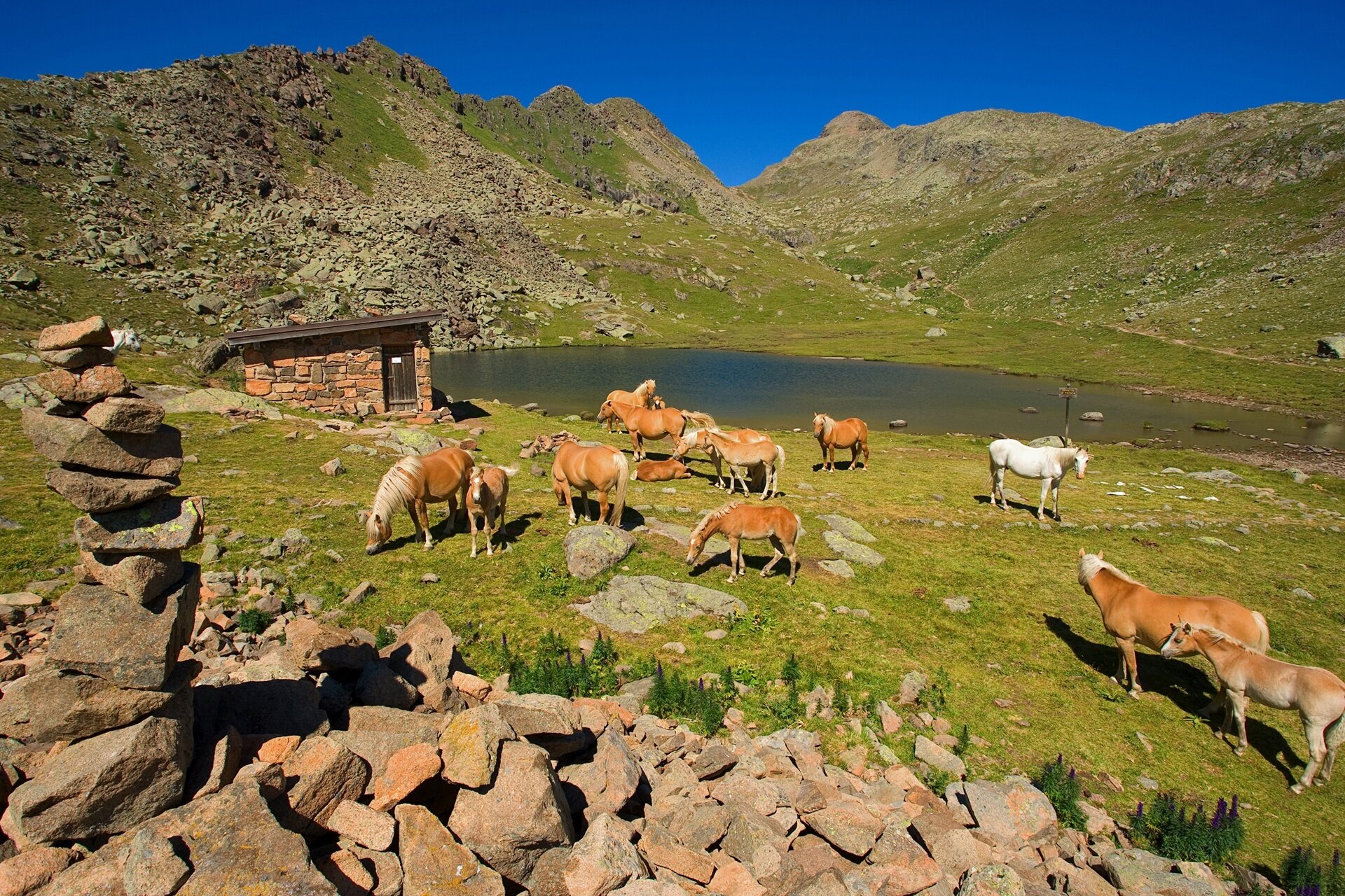 Moena   Laghi Di Lusia