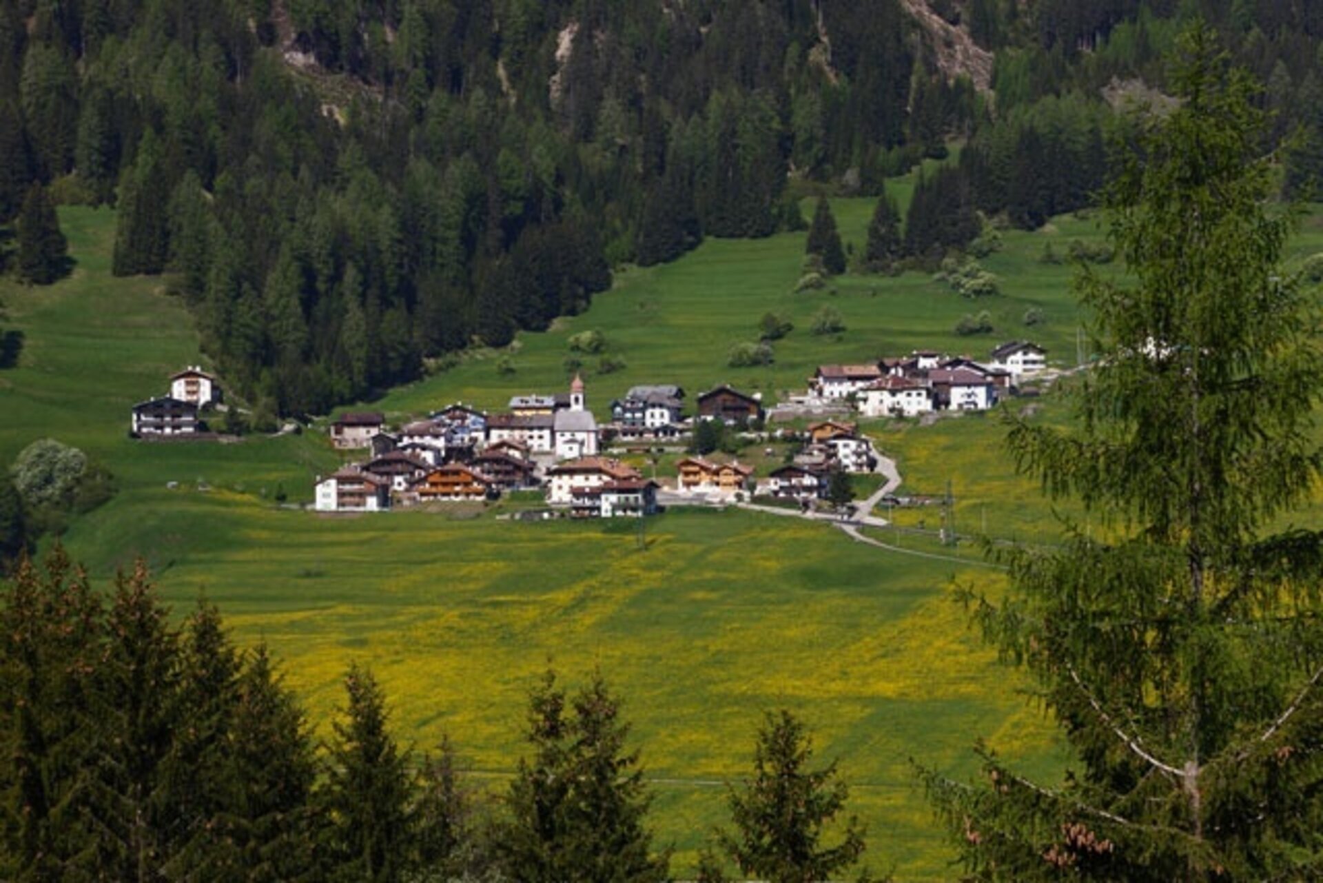 Moena   Prato Di Sorte    Moena