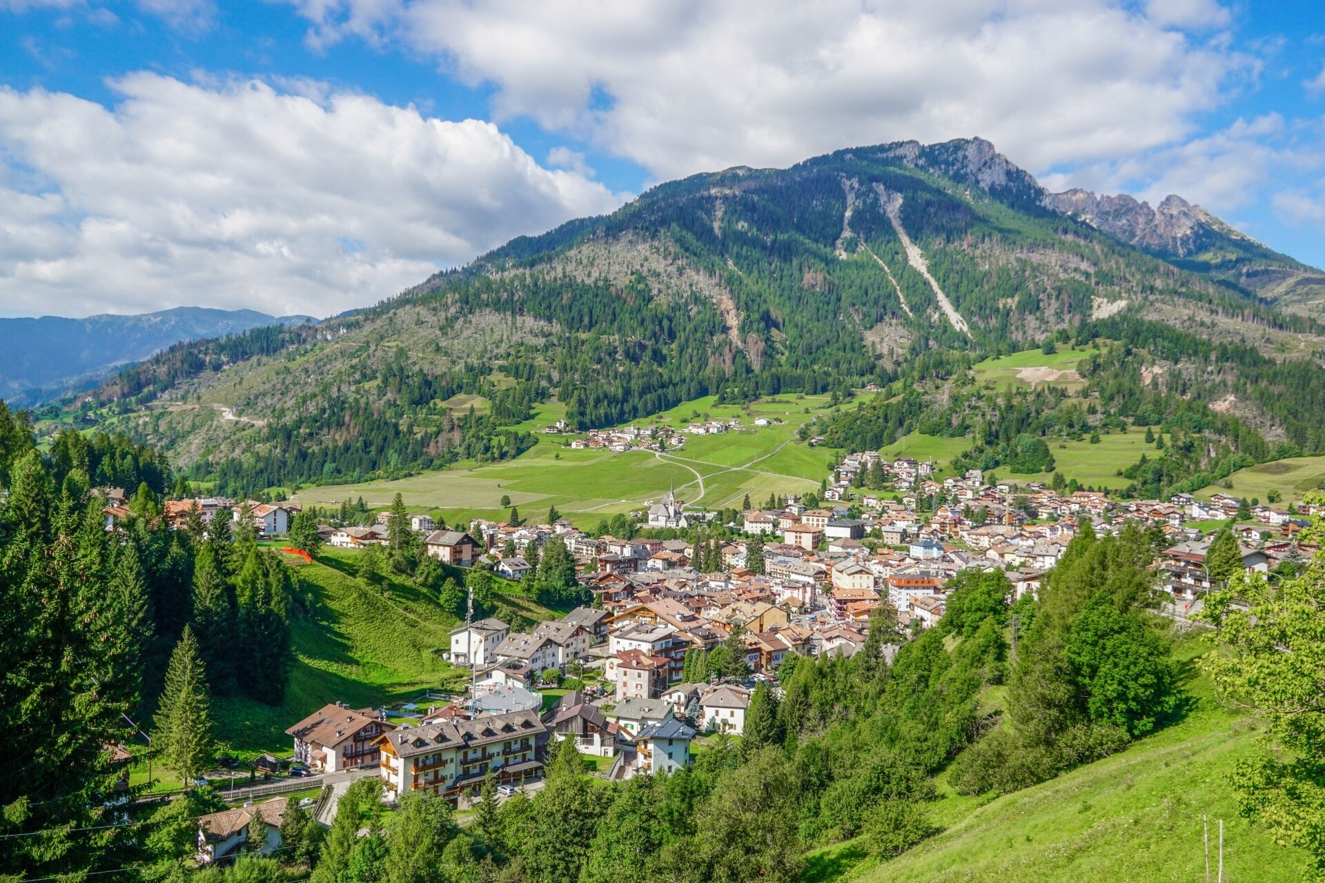 Moena   Sorte   Peniola   Medil   Moena