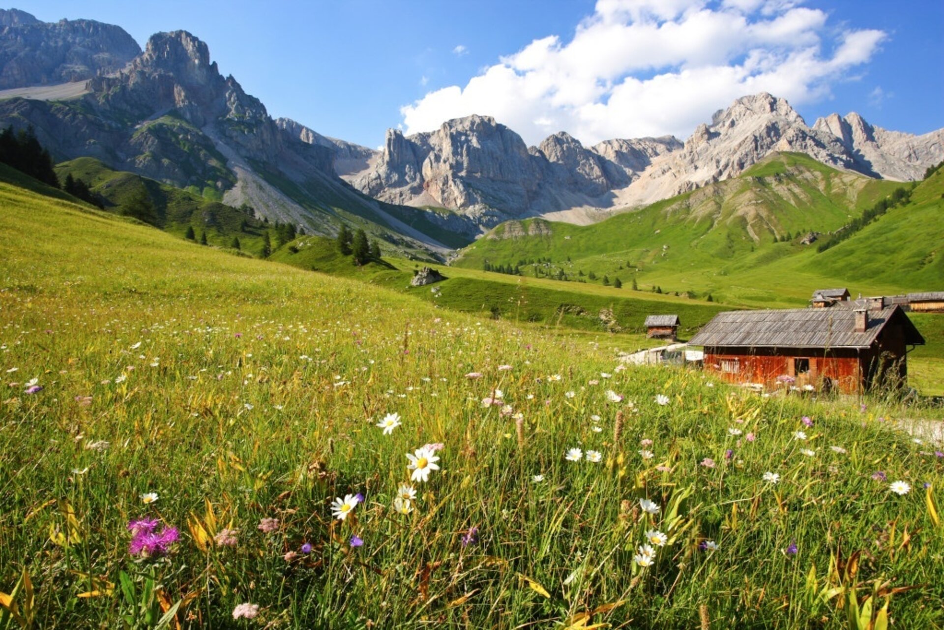 Passo S. Pellegrino   Fuciade   Passo S