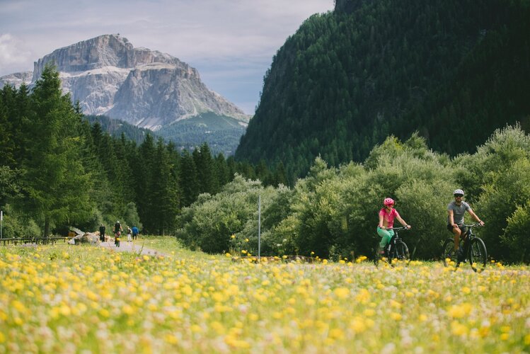 Pista Ciclabile Delle Dolomiti Di Fiemme E Fassa