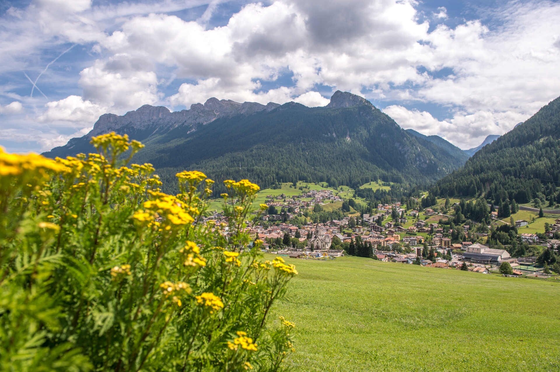 Quel Prato Di Sorte..