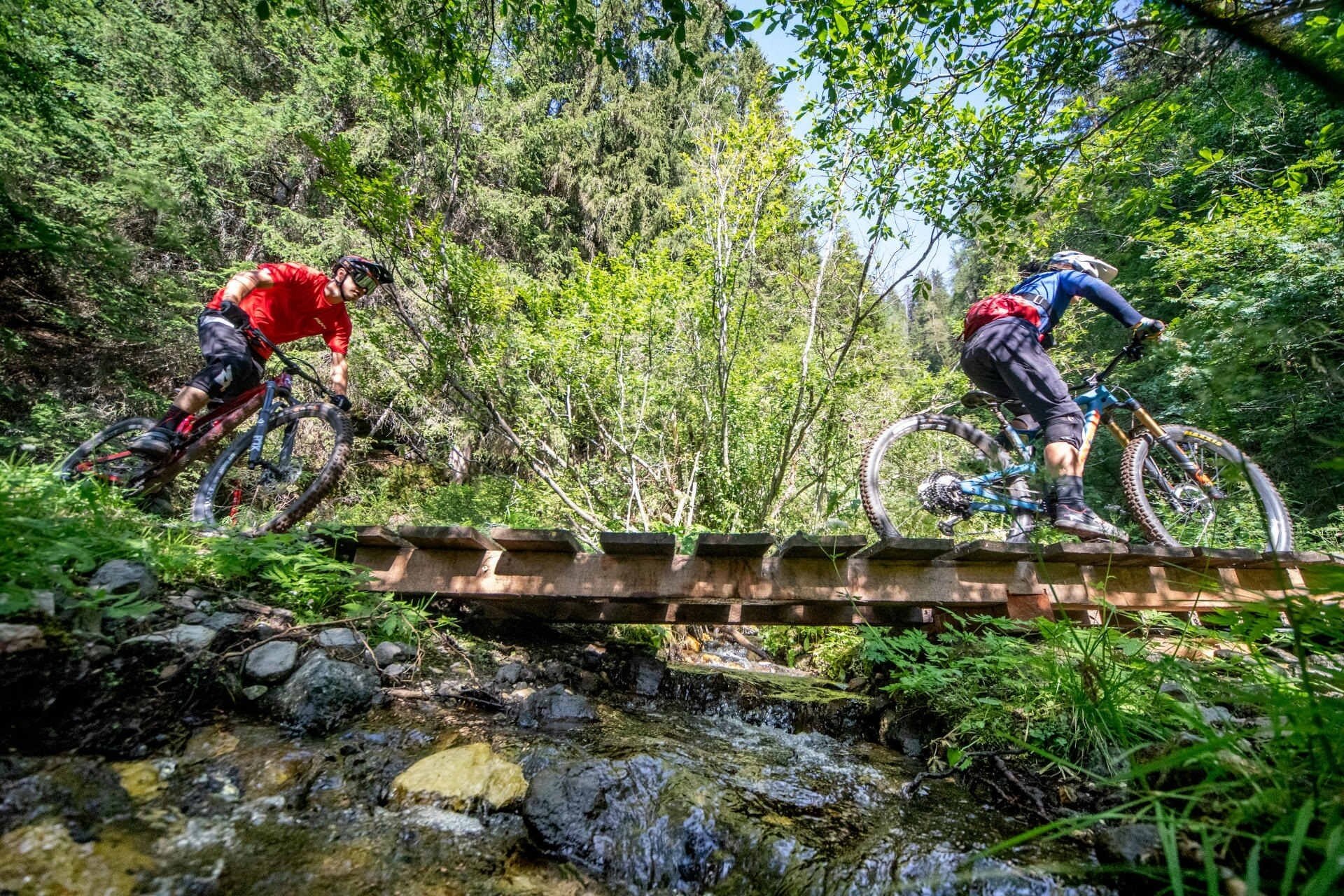 Rabbe Trail   Fassa Bike Park