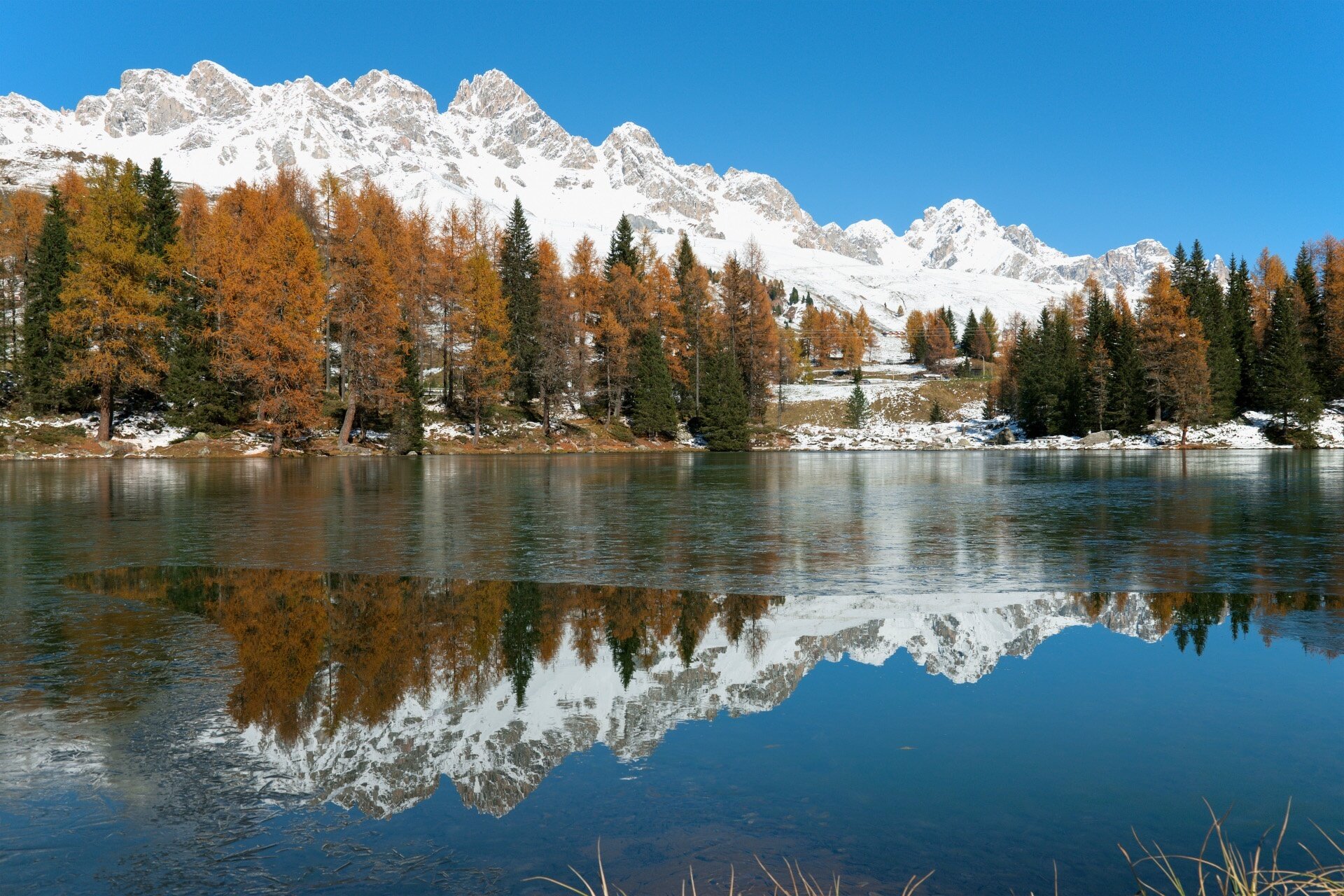 Der Duft Der Zirben Am San Pellegrino See Und Ihr Spiegelbild Im Wasser