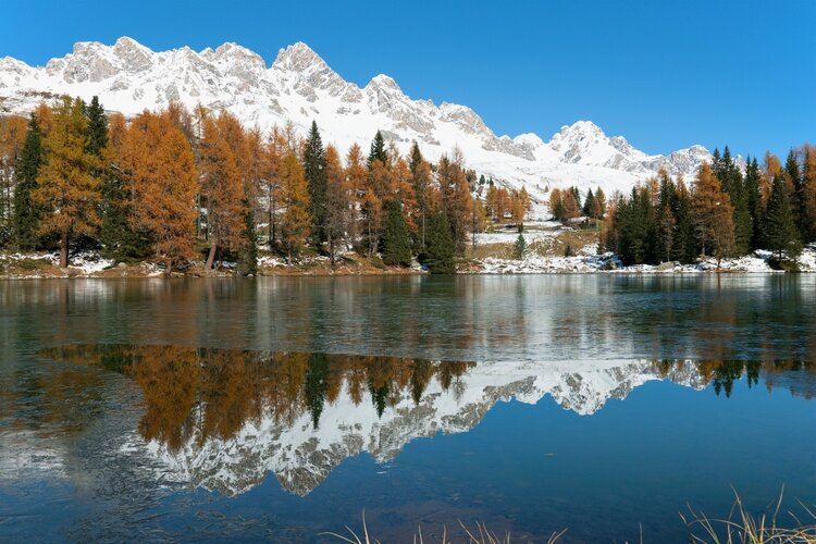 Riflessi E Profumi Di Cirmolo Al Lago Di San Pellegrino