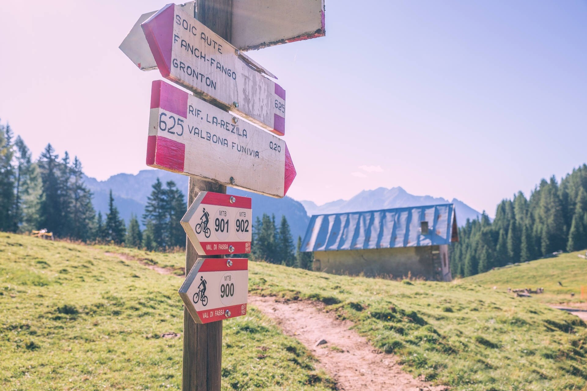 Moena   Alpe Lusia   Trincee Di Colvere E Fango