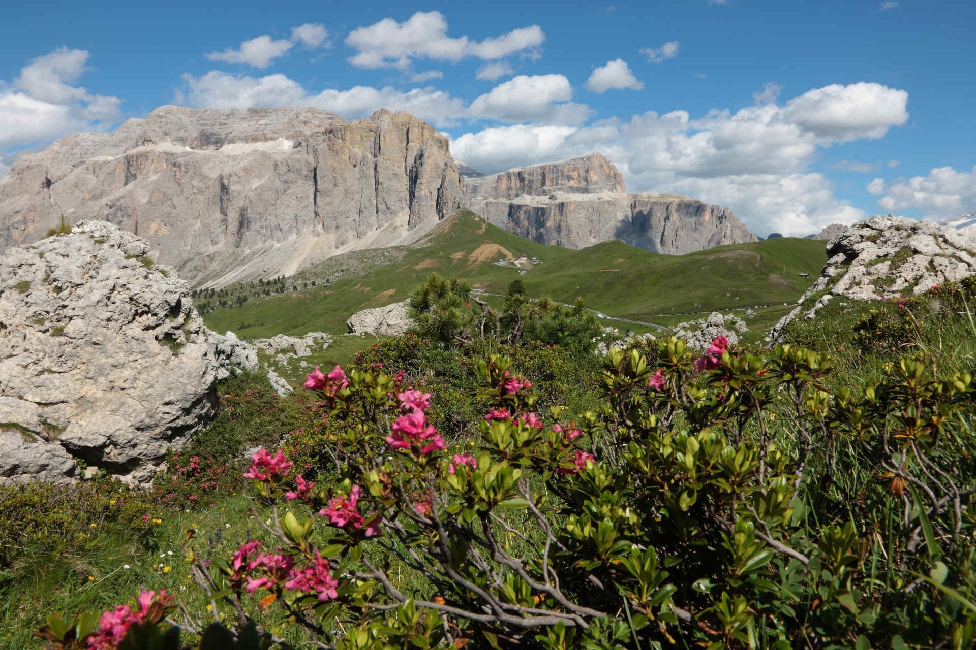 Salite Del Giro D'Italia   Passo Sella