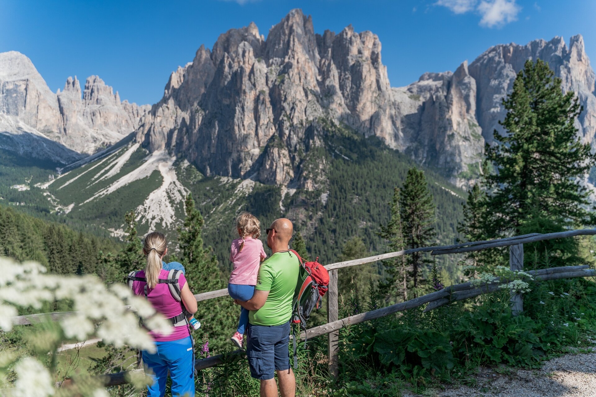 Sentiero Della Foresta