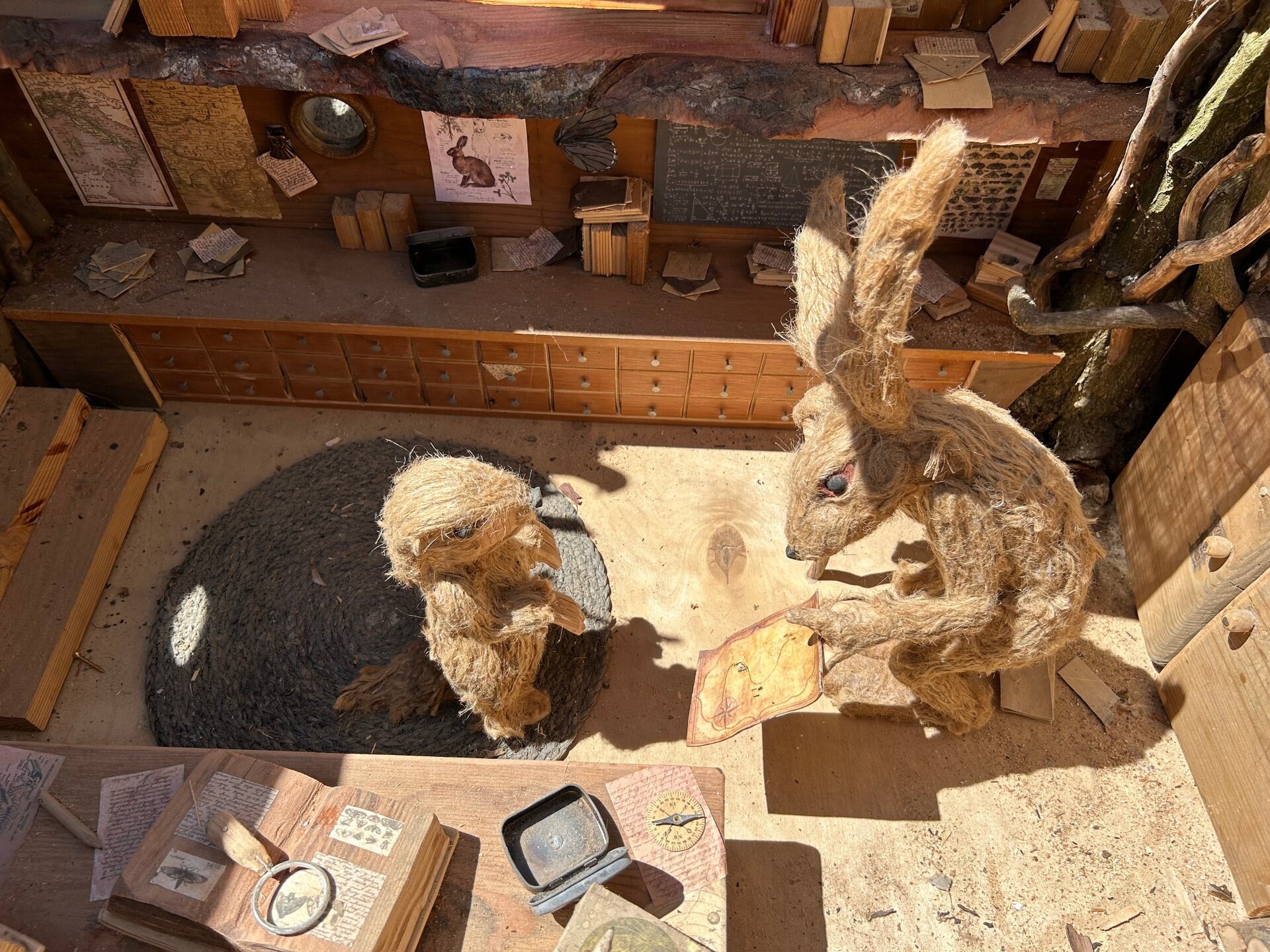 Sentiero Delle Marmotte
