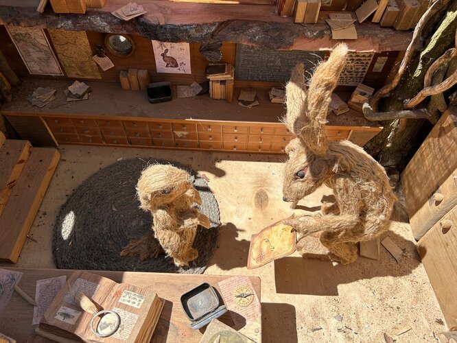 Sentiero Delle Marmotte