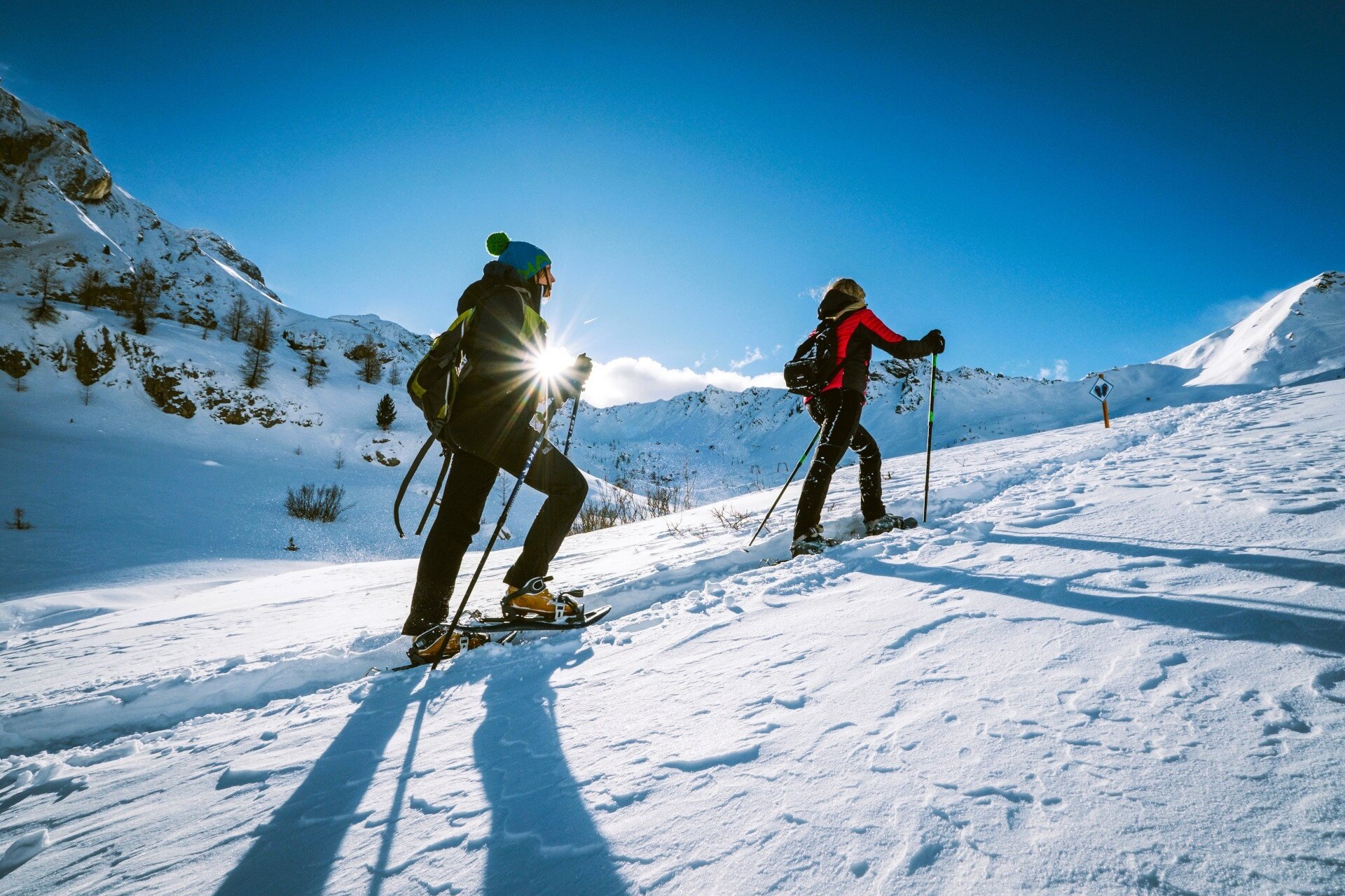 Auf Den Spuren Der Bergtiere Am Ciampac