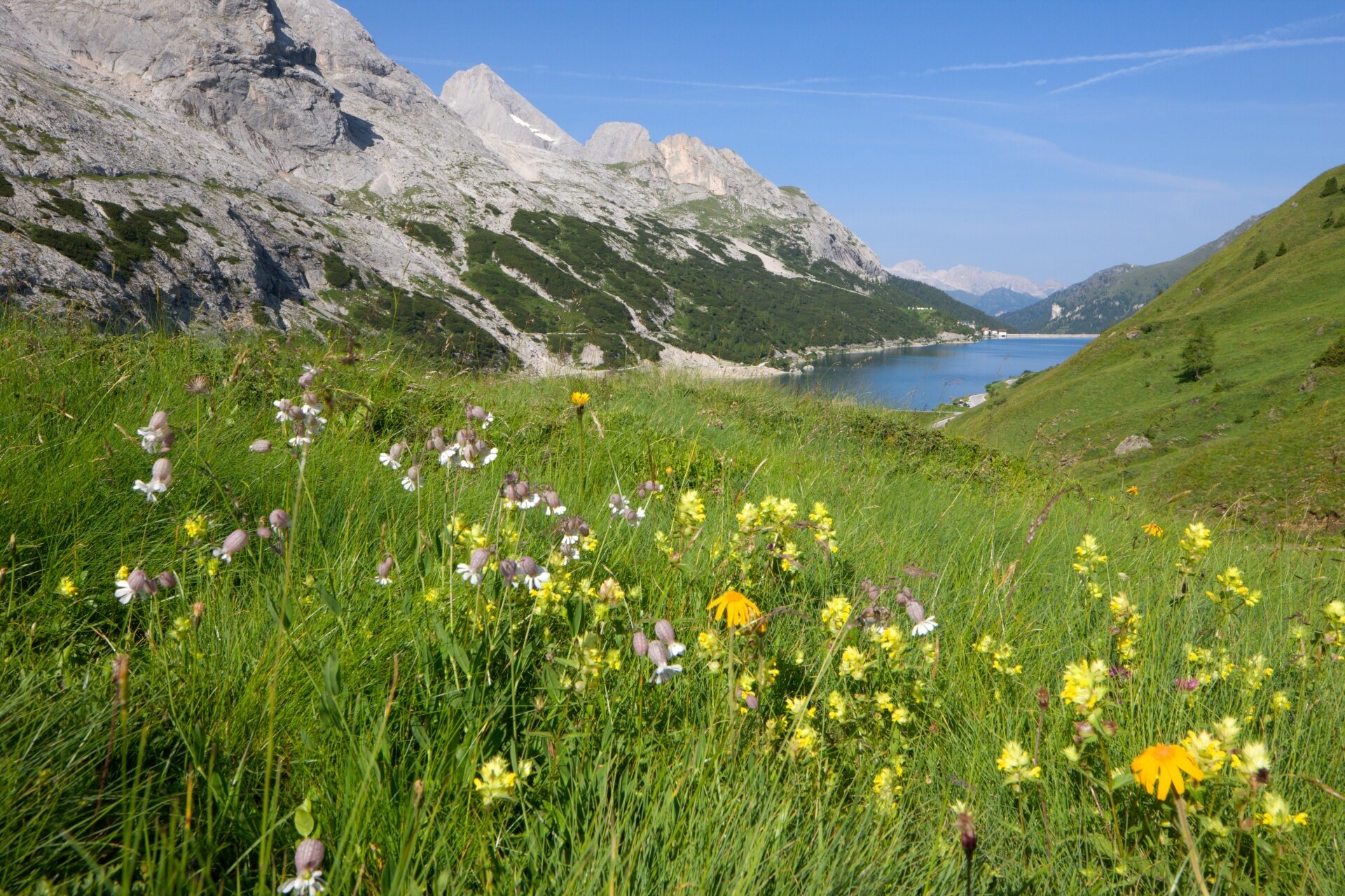 Tappa 2 Dolomiti Trek King   Nel Regno Di Conturina