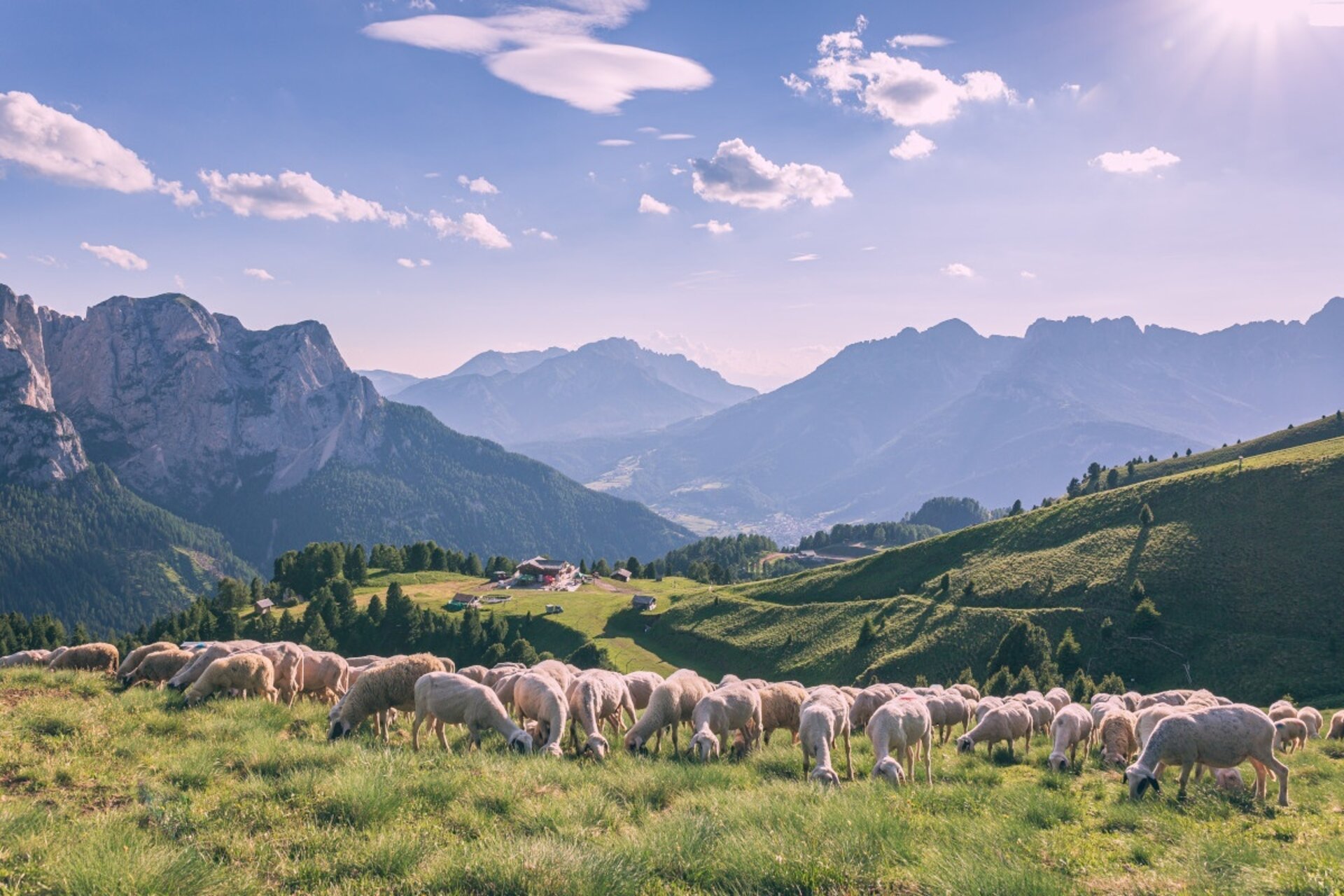 Tappa 3 Dolomiti Trek King Short Experience   Buffaure