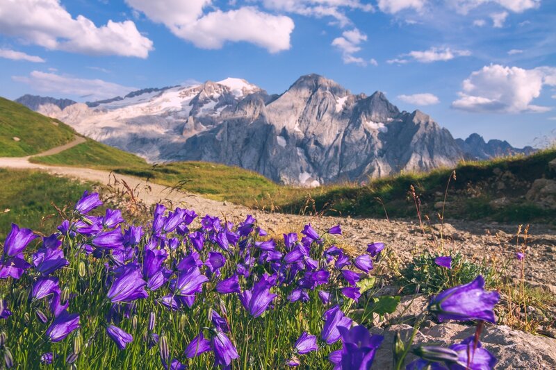 Tappa 3a Dolomiti Trek King   Viel Dal Pan