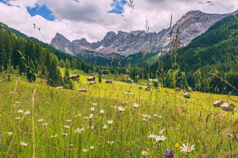 Tappa 4 Dolomiti Trek King Short Experience   Tra Pascoli E Baite Della Val San Nicolò