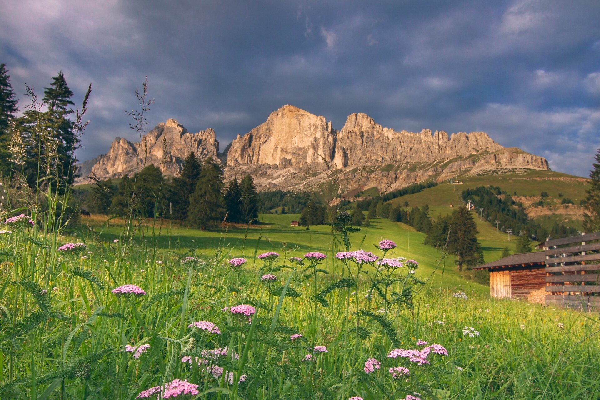 Stage 6 Dolomiti Trek King   Towards The Roda De Vael