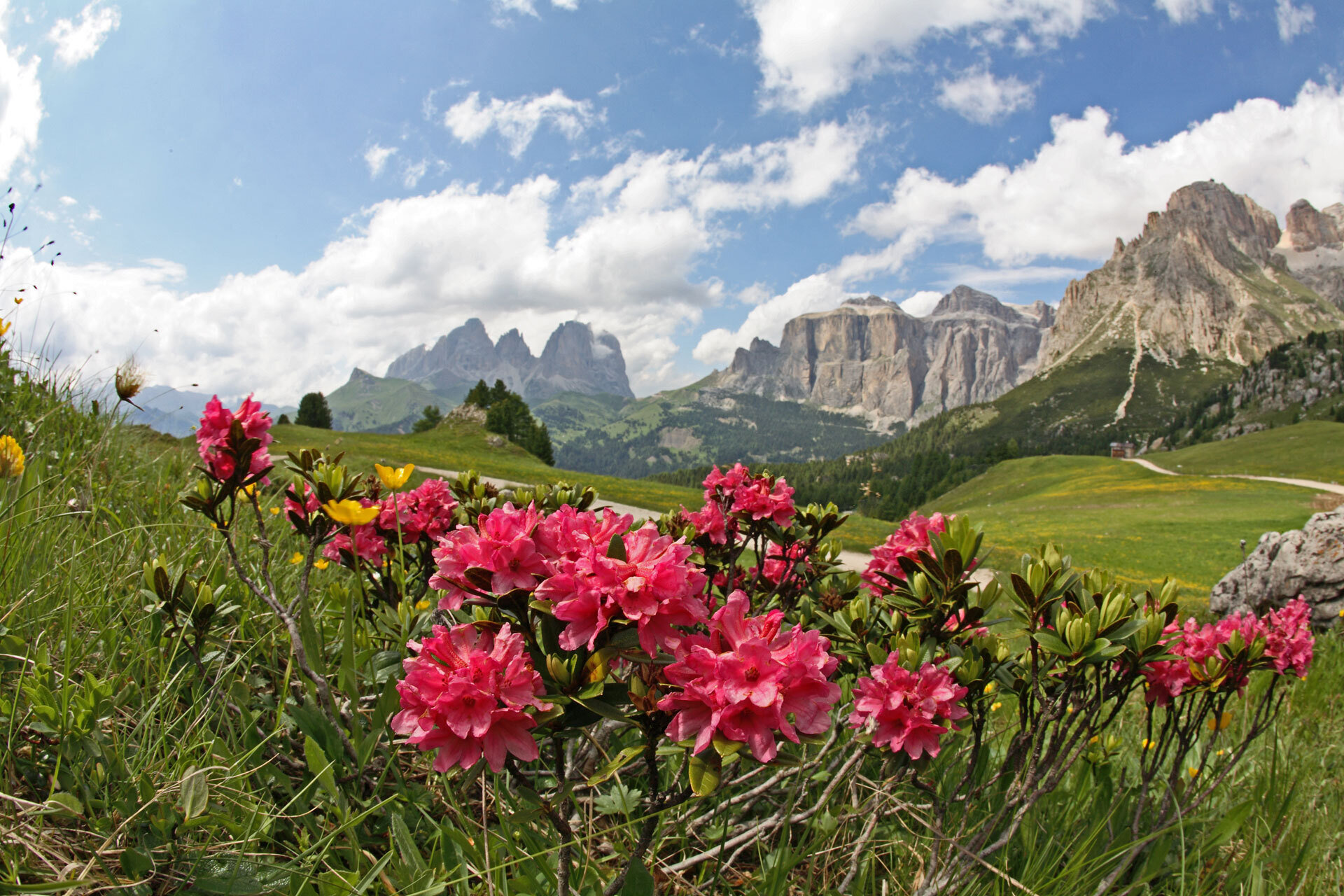 Belvedere   Col Dei Rossi Viewpoint