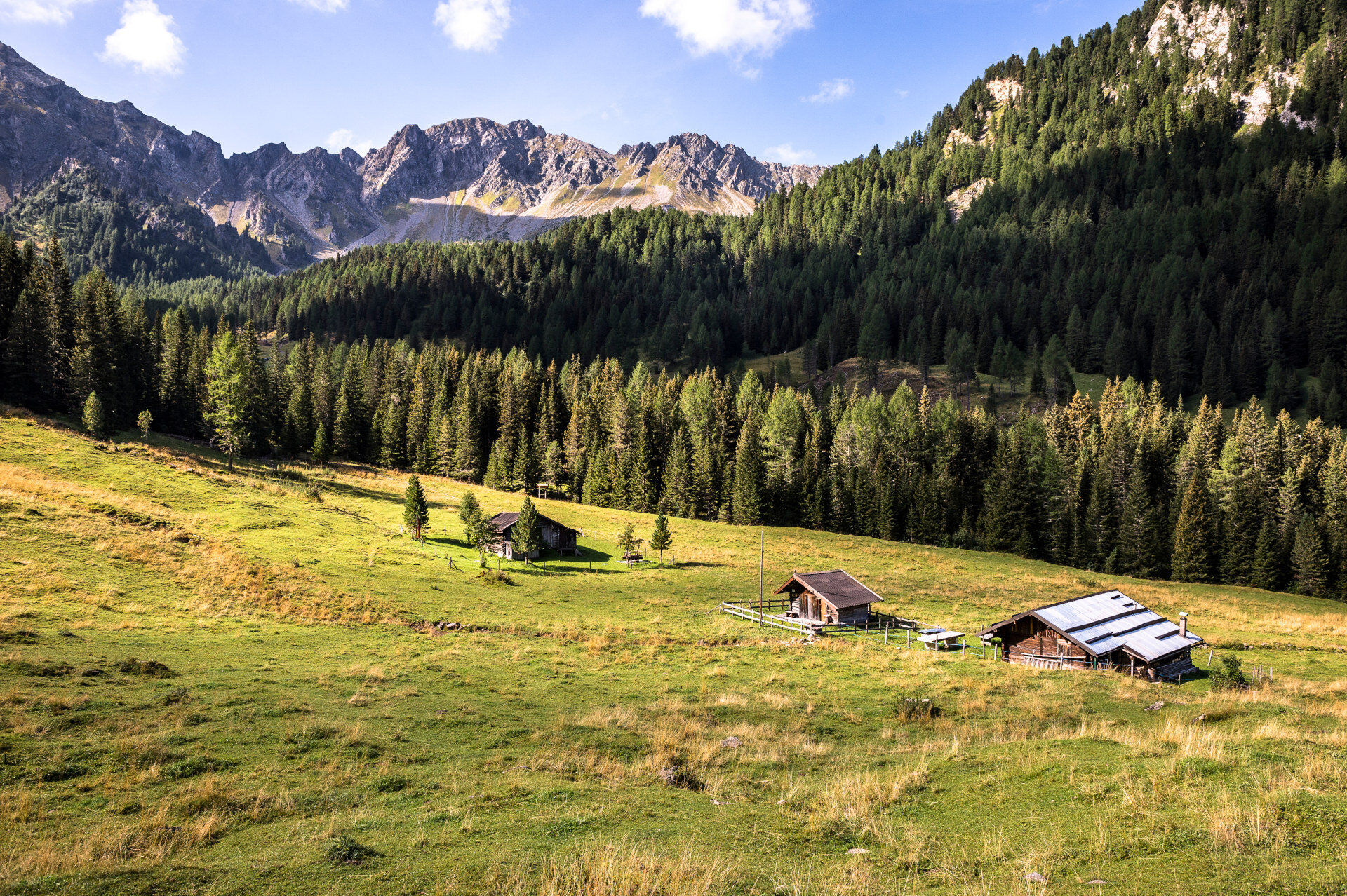 Punto Panoramico Monzoni   Cima Undici