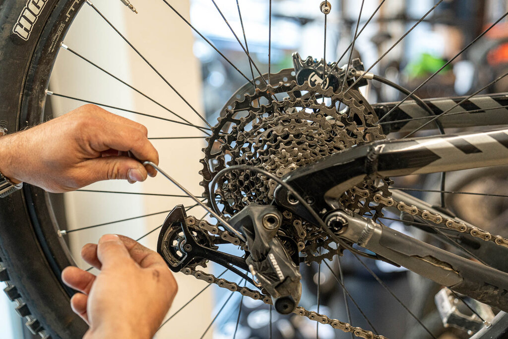 Content Dam Org 3 Images Full Rights Servizi Noleggi Sci E Snowboard Bikeasy Archivio Apt Val Di Fassa Mrizzi Bikeasy Canazei 12