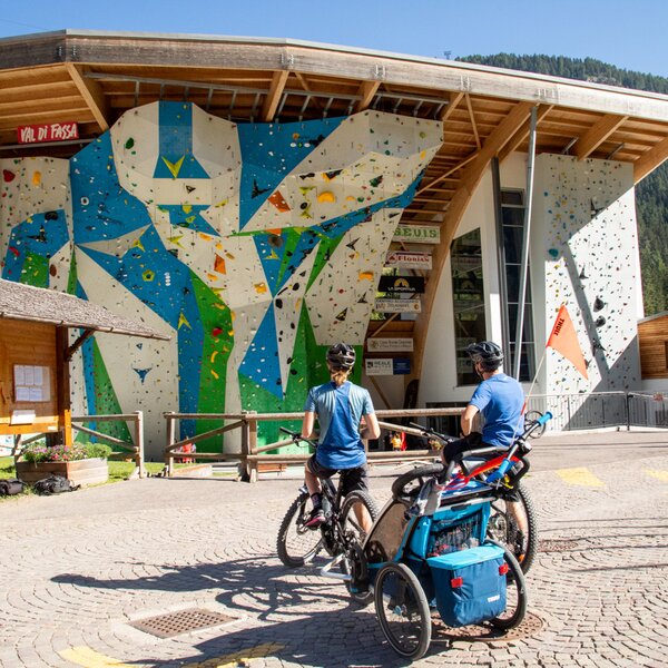 ADEL Climbing Wall