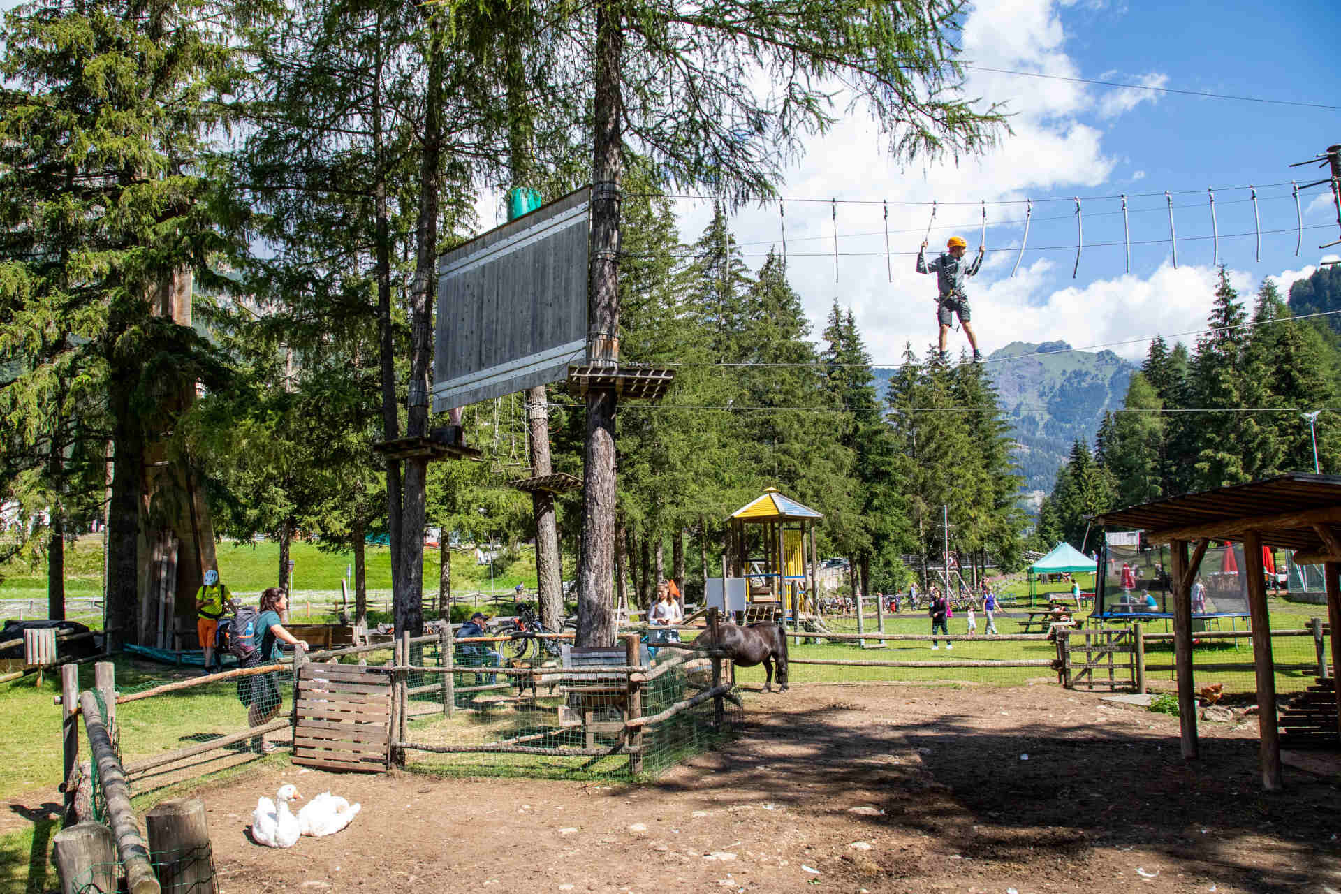 Adventure Park Piciocaa