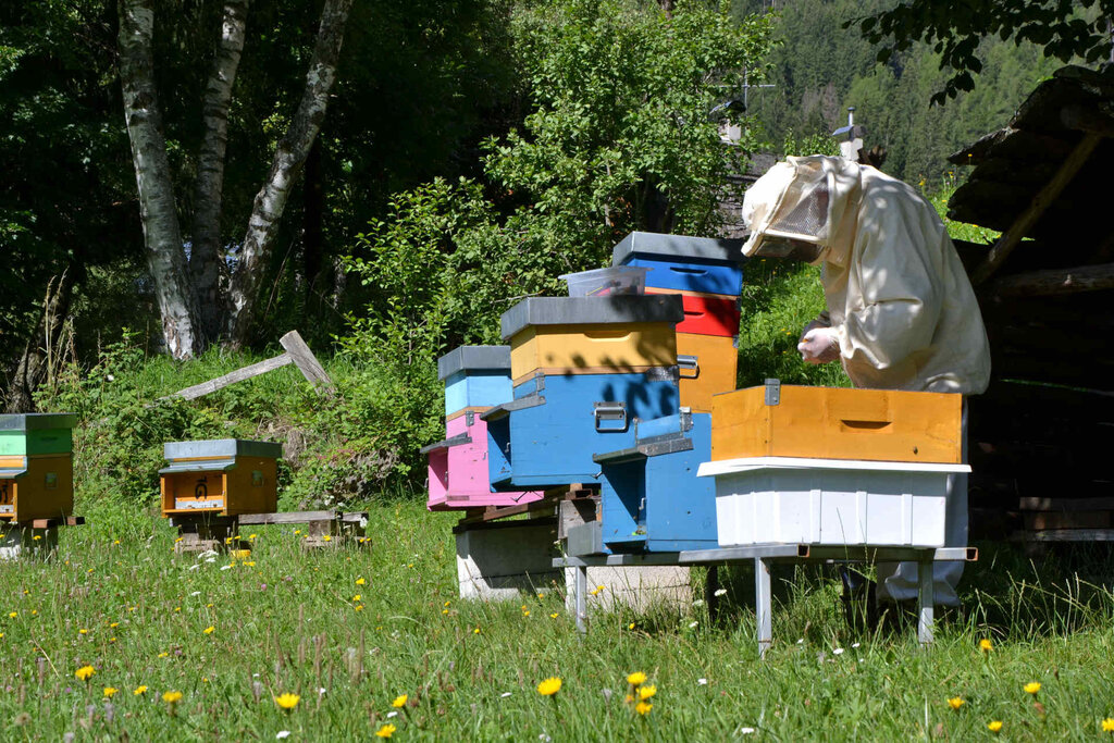 Content Dam Org 3 Images Full Rights Attivita Card Agritur Archivio Apt Val Di Fassa Strada Dei Formaggi Delle Dolomiti Agritur Ciasa Do Pare Soraga 4