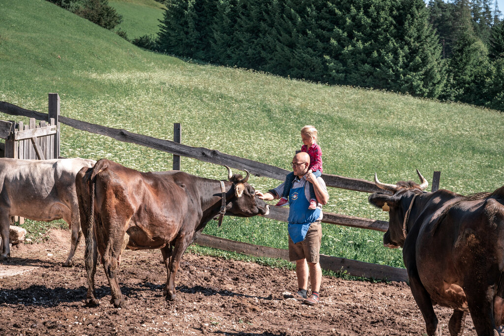 Content Dam Org 3 Images Full Rights Gusto Ristorante Agritur Ciasa D&ograve; Par&eacute; Ciasa Do Pare Aptvaldifassa Patricia Ramirez 5