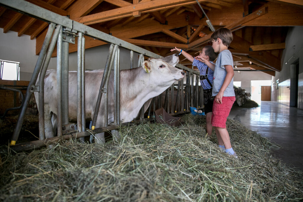 Content Dam Org 3 Images Full Rights Gusto Ristorante Agritur Malga Pi&egrave; Agriturmalgapie Soraga Pharussolo 005
