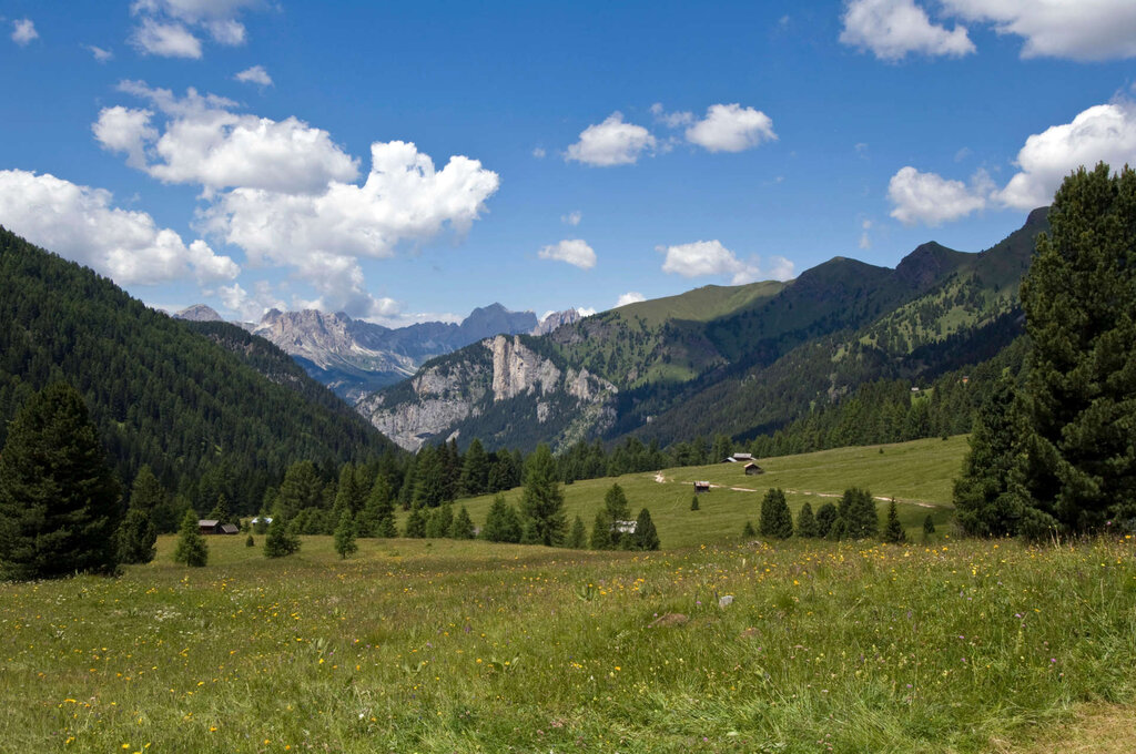 Content Dam Org 3 Images Full Rights Natura Val San Nicolo Archivio Apt Val Di Fassa Cainelli Val San Nicolo Estate 5
