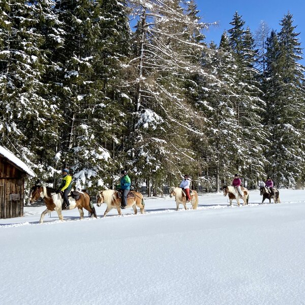 Charlotte Horse Riding