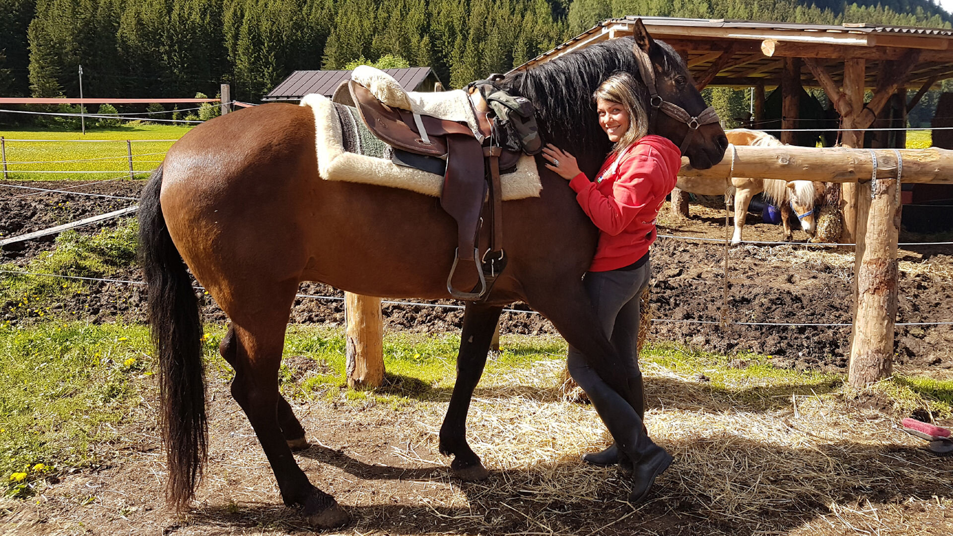 Charlotte Horse Riding