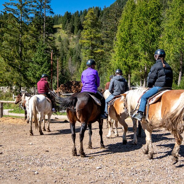 Charlotte Horse Riding