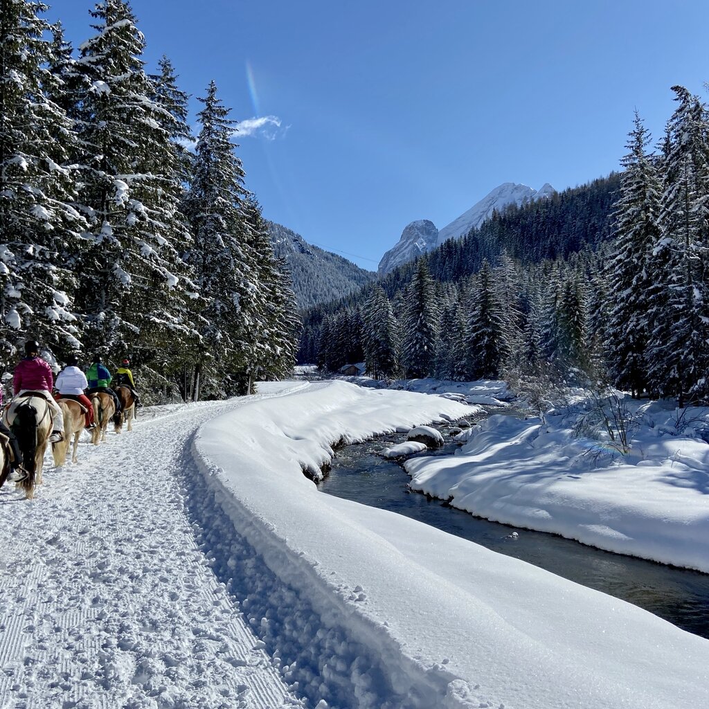 Charlotte Horse Riding