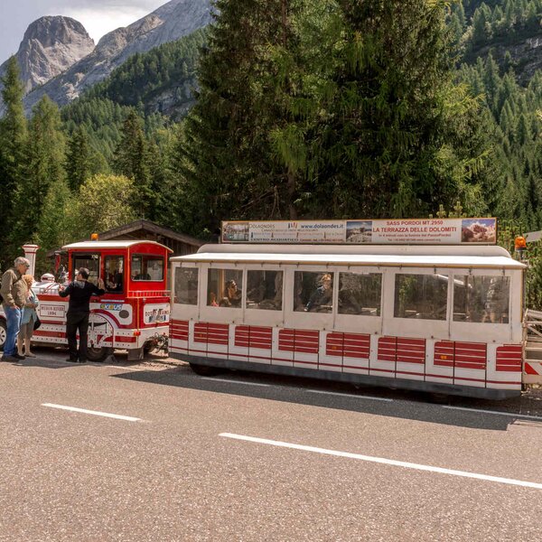 Shuttles And Tourist Trains