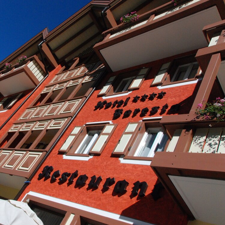 Ristorante Hotel Foresta