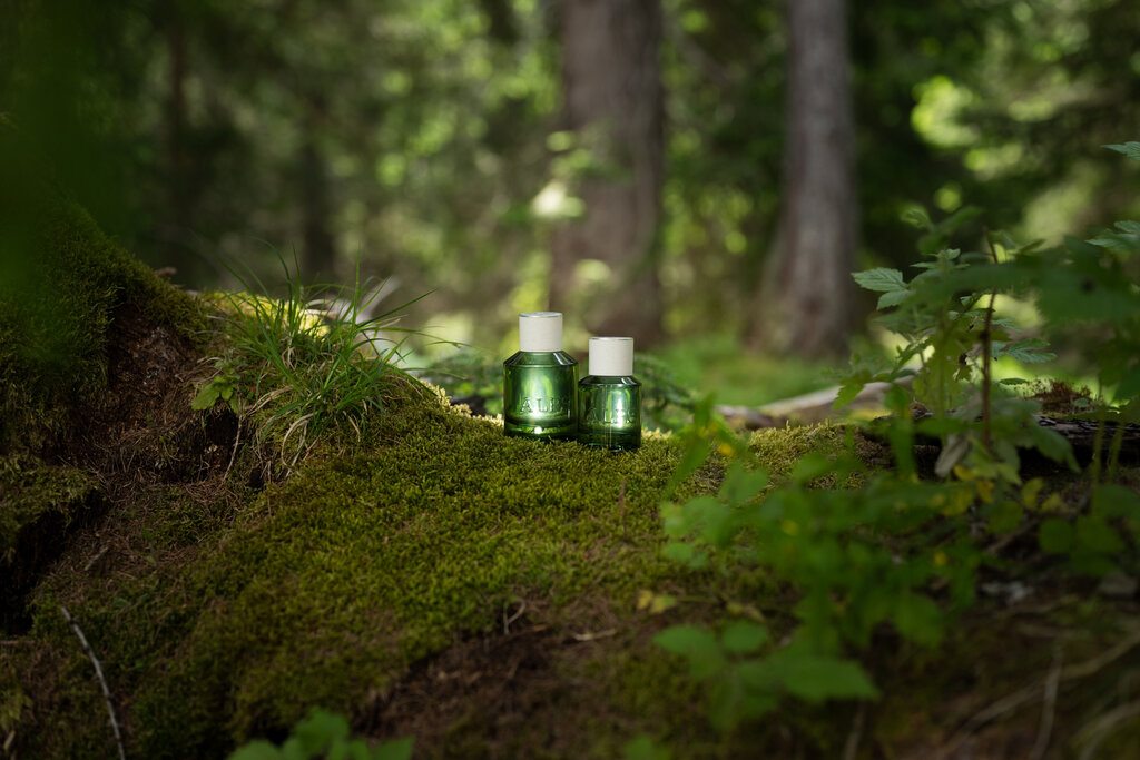 Content Dam Org 3 Images Full Rights Servizi Altri Servizi Imago Garage Srl Agenzia Imago Garage Pozza Di Fassa 10