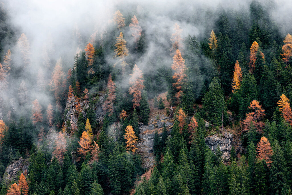 Content Dam Org 3 Images Full Rights Servizi Altri Servizi Imago Garage Srl Agenzia Imago Garage Pozza Di Fassa 8