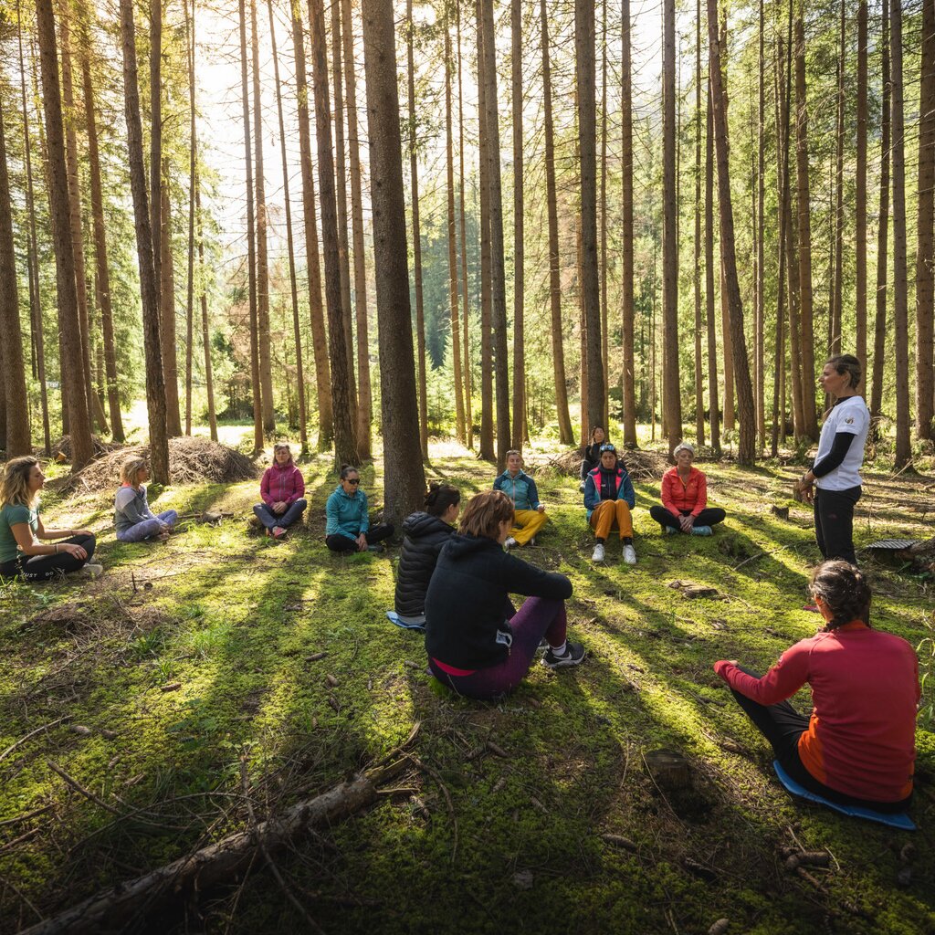 Forest Bathing: wellness in the forest