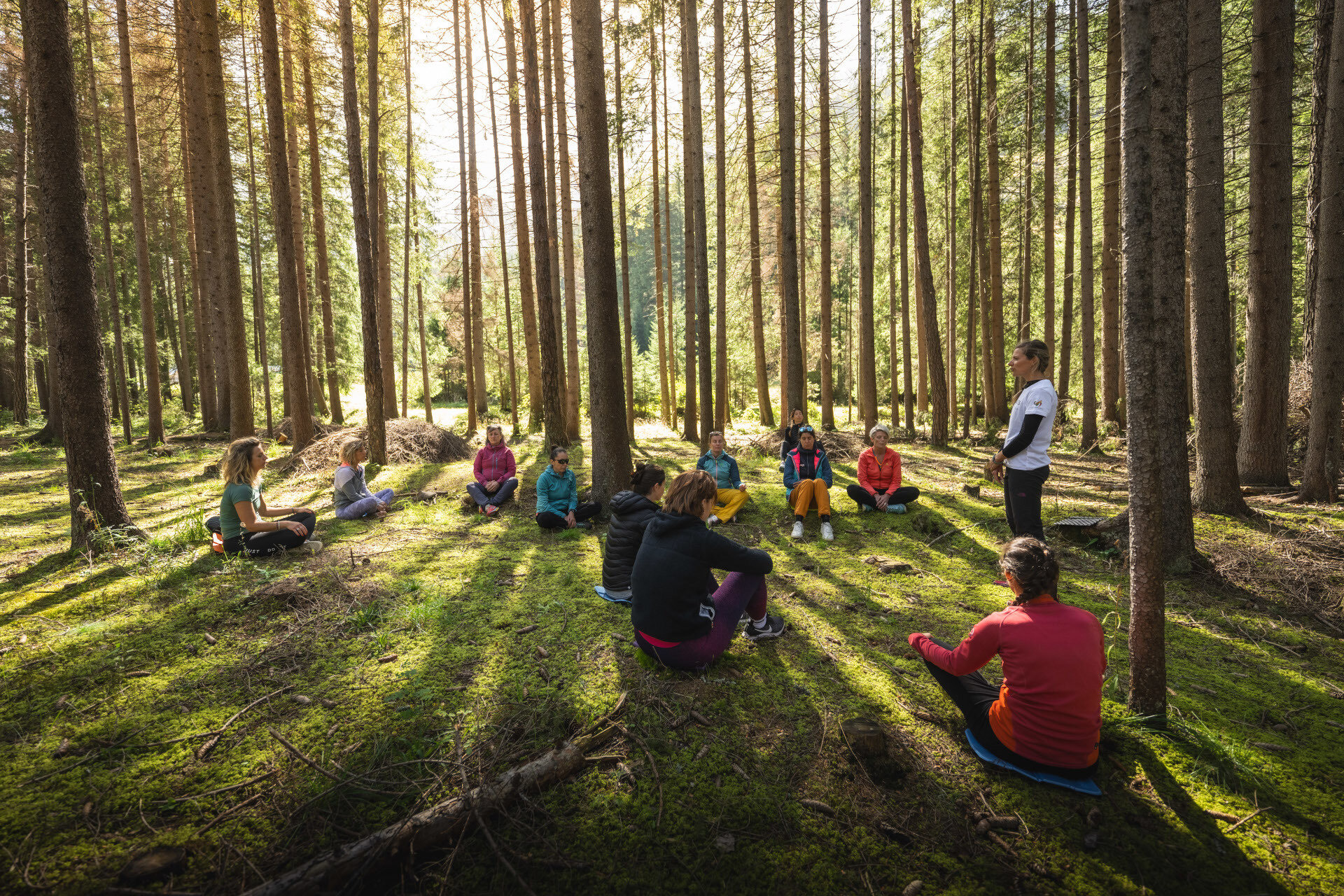 Forest Bathing Benessere Nei Boschi 311450