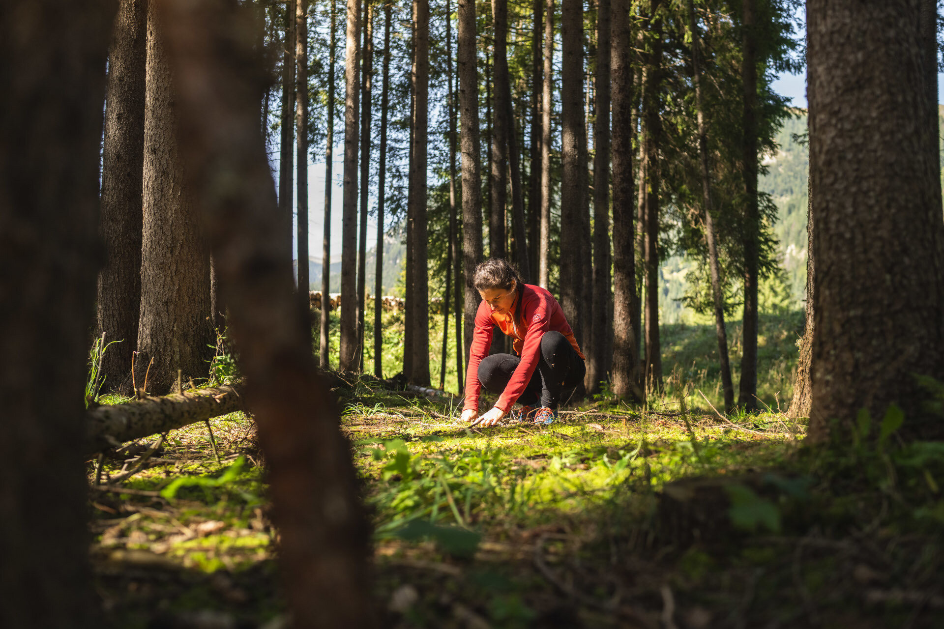 Forest Bathing