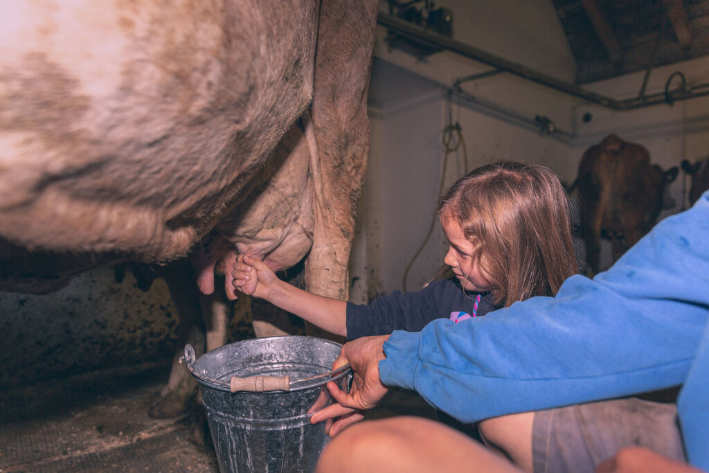 Content Dam Org 3 Images Full Rights Gusto Malga Jumela Bassa Archivio Apt Val Di Fassa Pramirez Malga Jumela Bassa Pozza 6