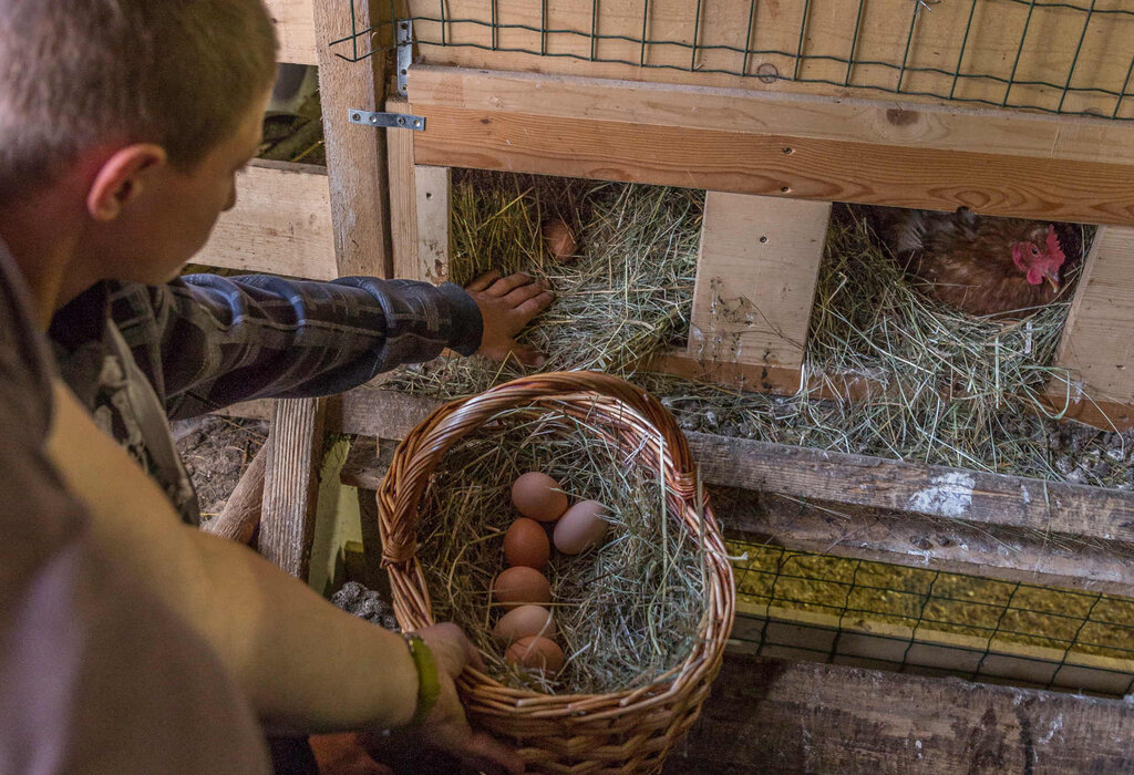 Content Dam Org 3 Images Full Rights Gusto Malga Jumela Bassa Archivio Apt Val Di Fassa Pramirez Malga Jumela Bassa Pozza 8