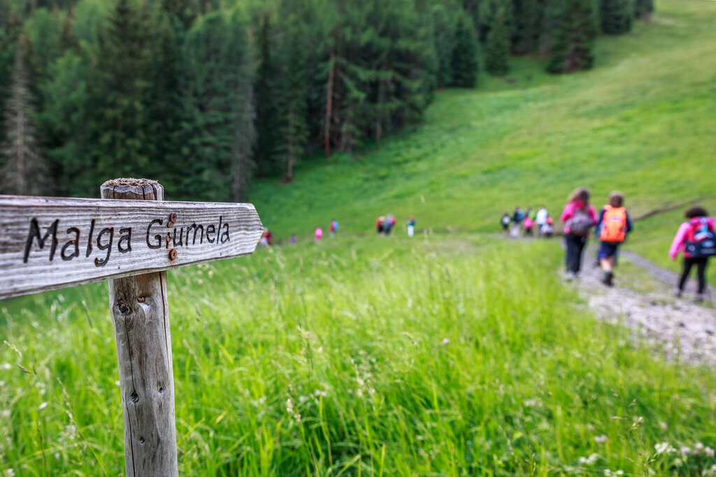 Content Dam Org 3 Images Full Rights Gusto Malga Jumela Bassa Archivio Apt Val Di Fassa Pramirez Malga Jumela Bassa Pozza 8.jpg