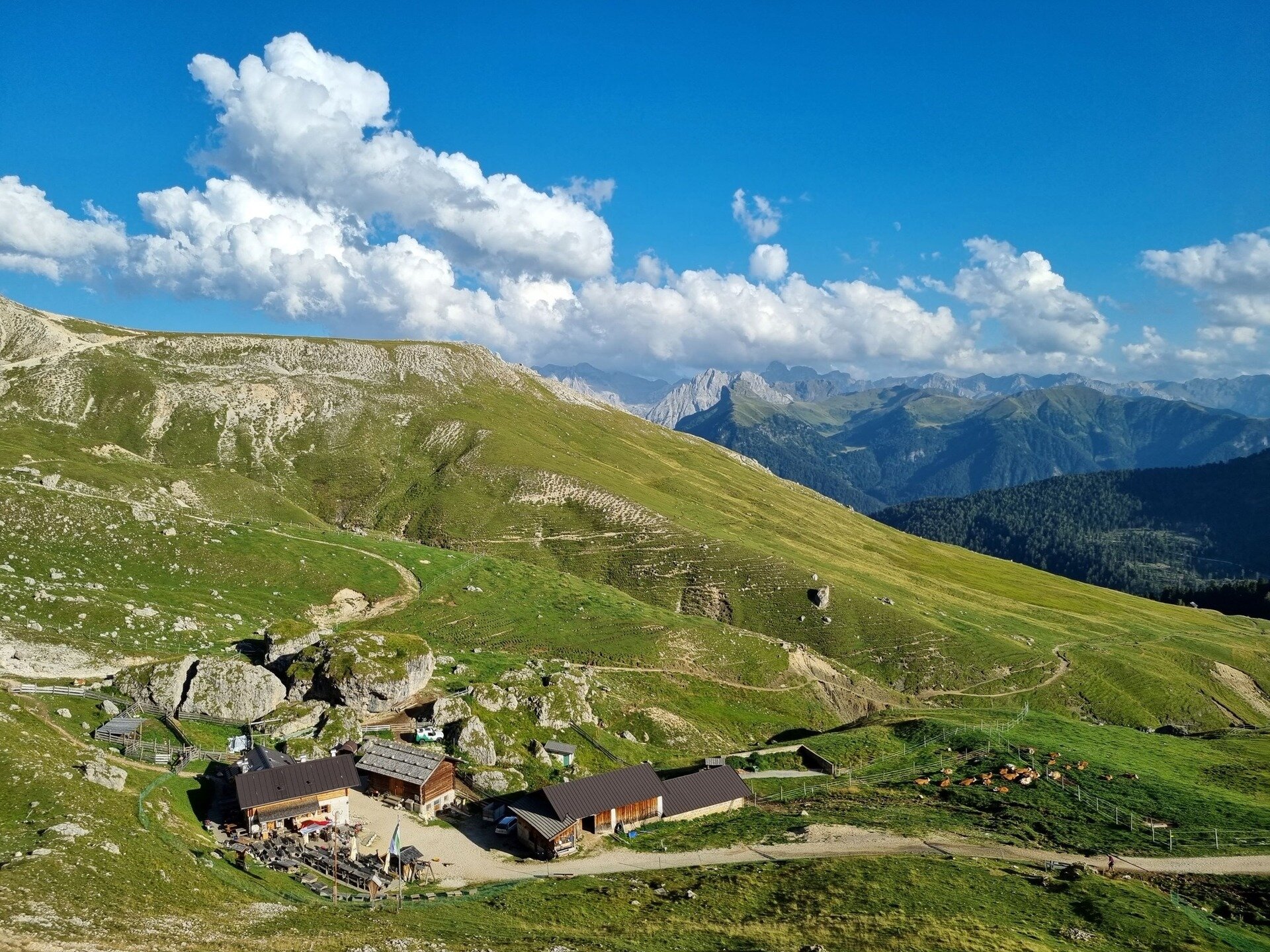 Malga Sasso Piatto