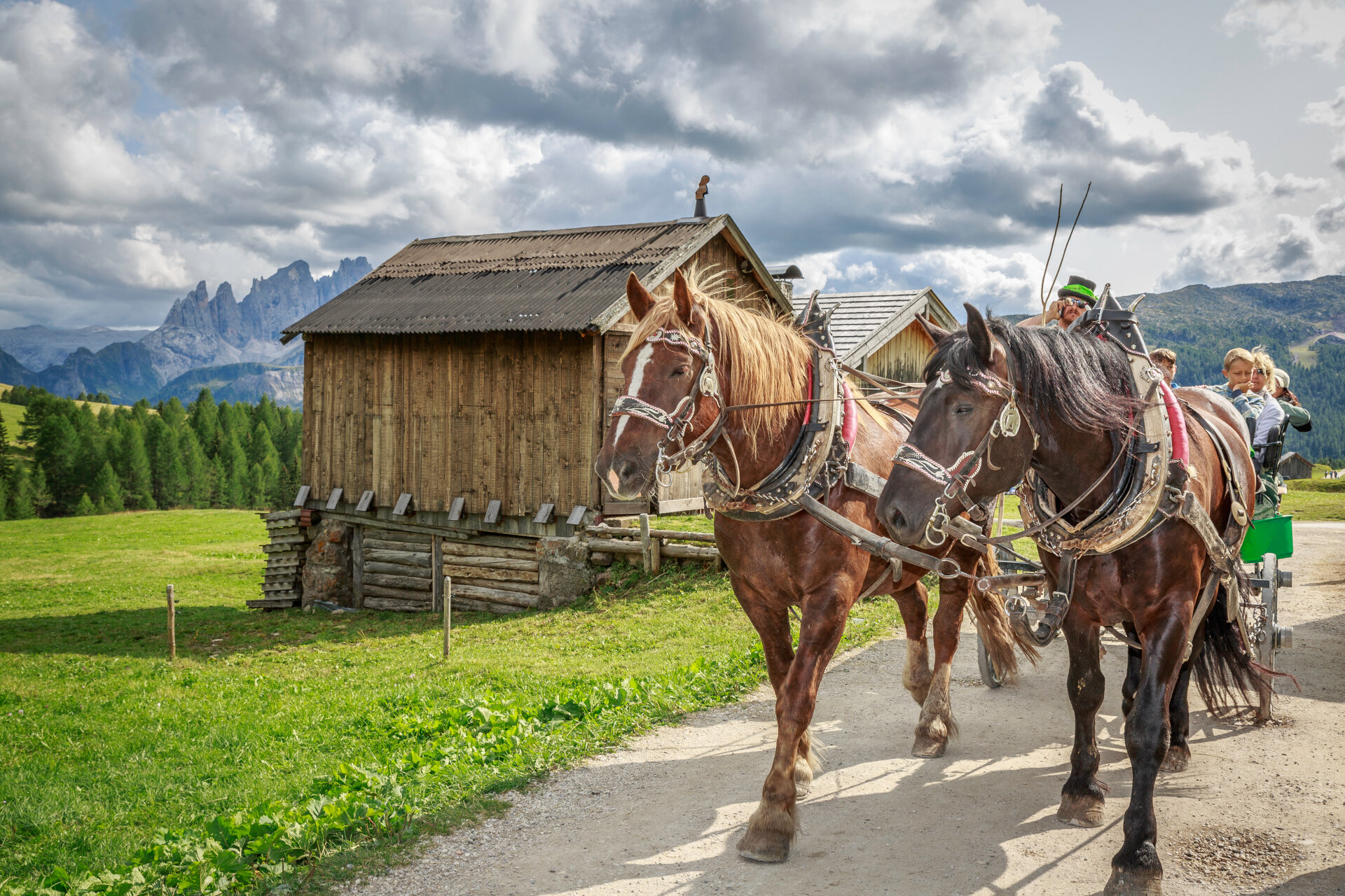 Defrancesco Michele   Sleigh And Carriage Rides