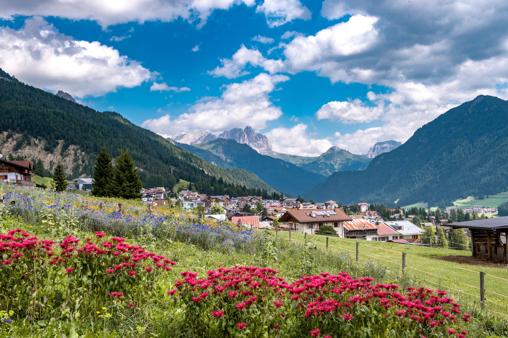 San Giovanni Di Fassa Urban Transport