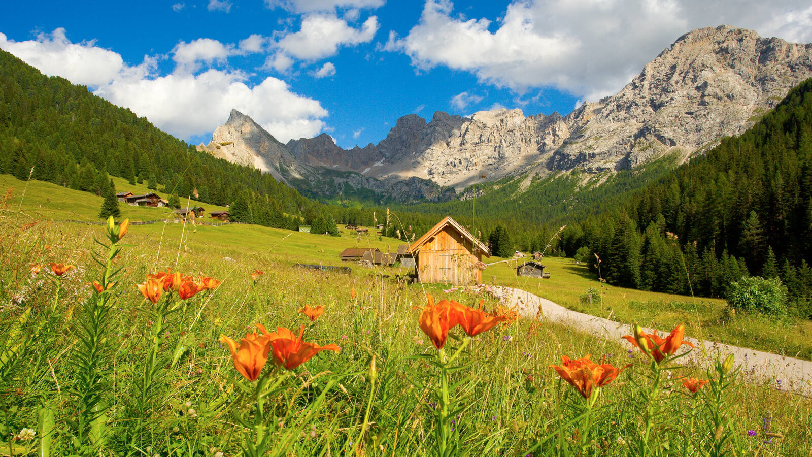 Val di Fassa Guest Card discover the benefits