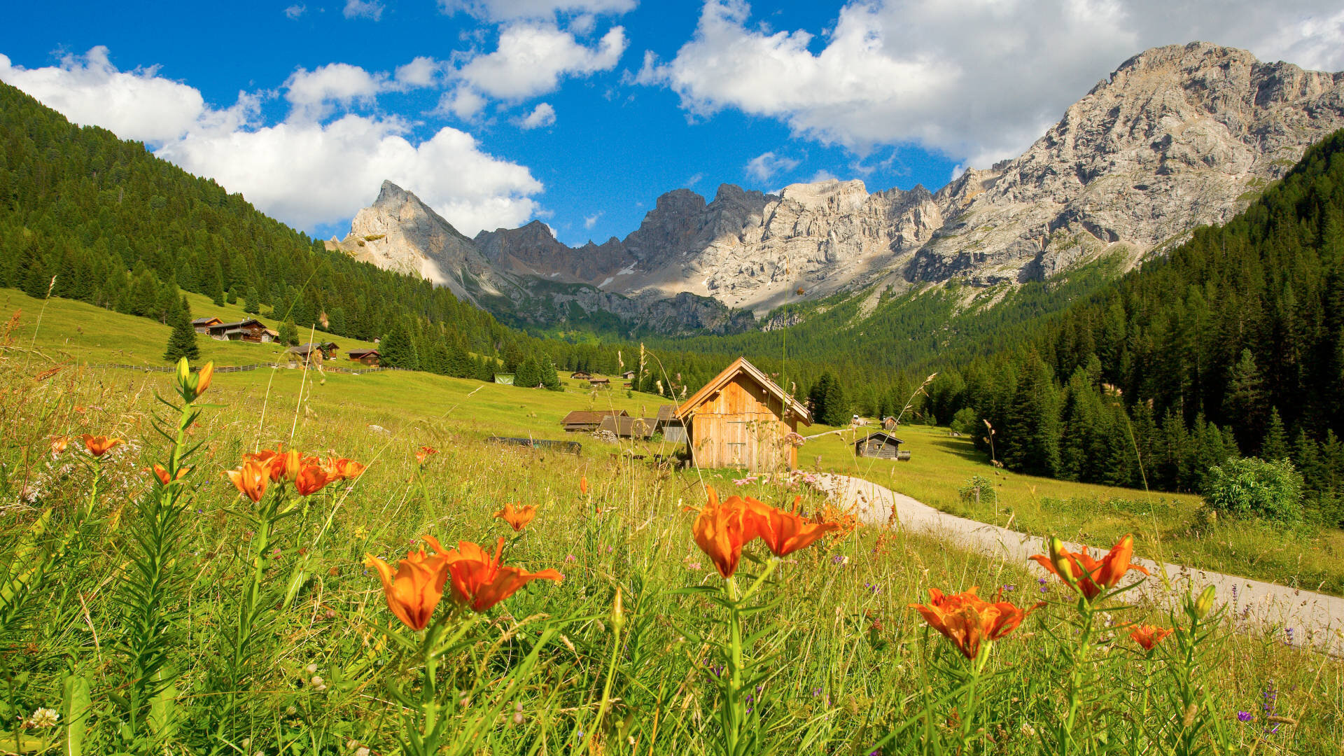 Shuttledienst Val San Nicolò