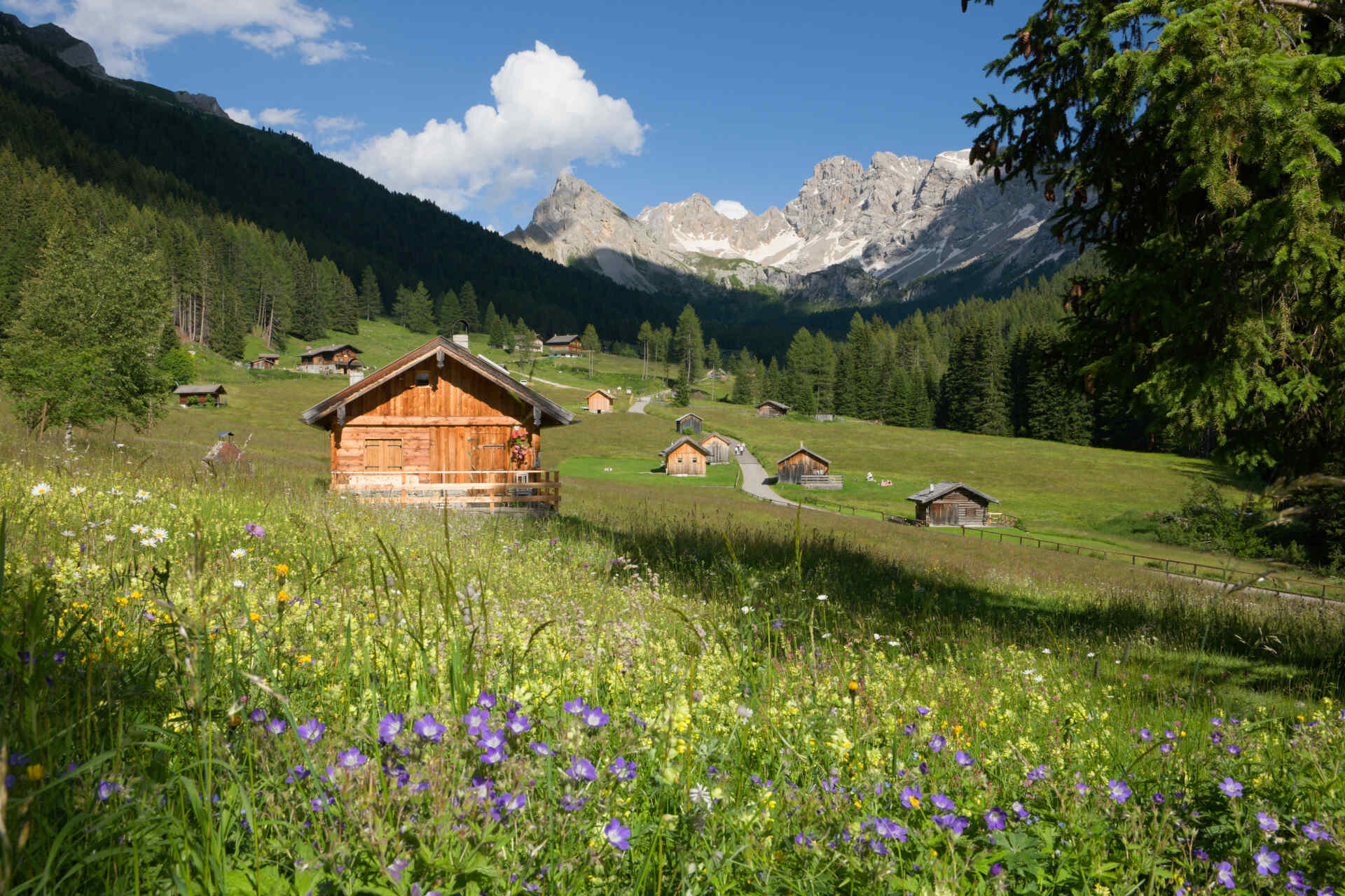 Val San Nicolò Tourist Train