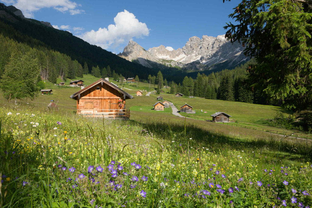 Content Dam Org 3 Images Full Rights Natura Val San Nicolo Archivio Apt Val Di Fassa Nangeli Val San Nicolo Est 2